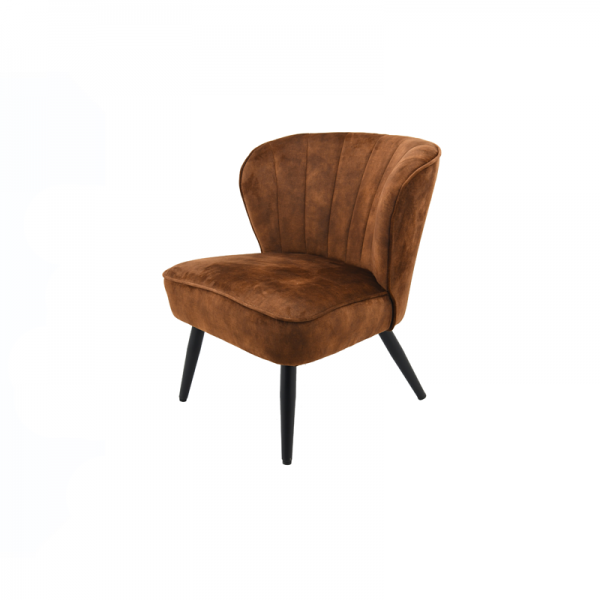 FAUTEUIL DION BRUIN